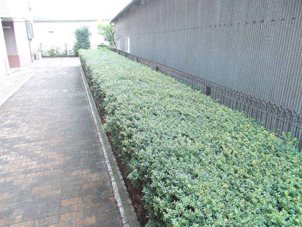 8/17 その他画像