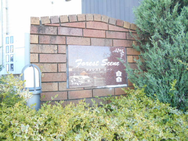 11/20 その他画像