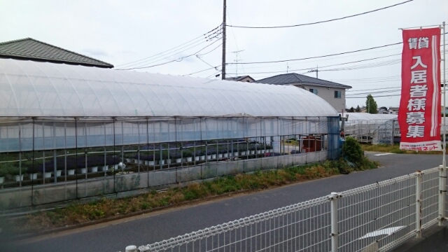 14/20 その他画像