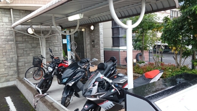 12/19 その他画像