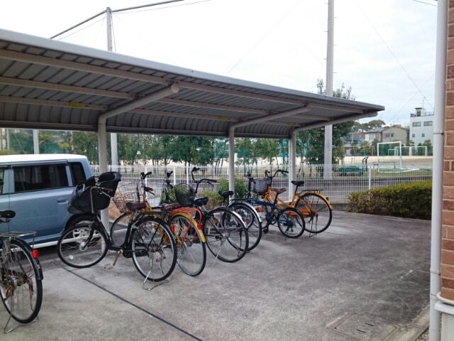 11/25 その他画像