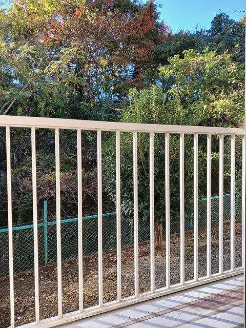 11/24 バルコニー