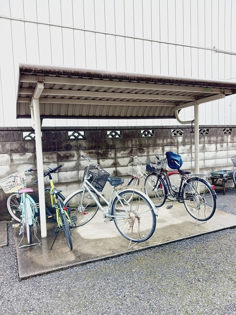 3/19 その他画像