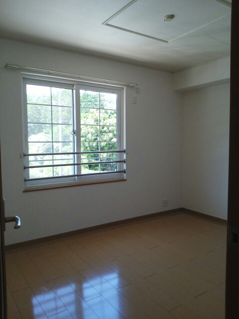 11/20 その他画像