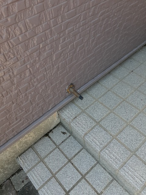 5/20 その他画像