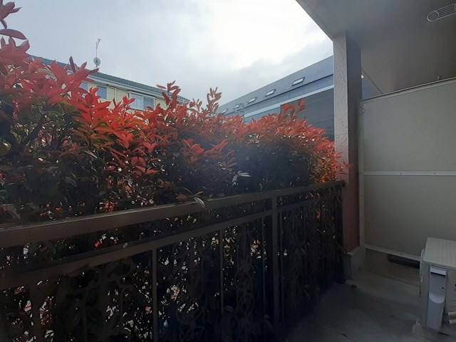 12/20 バルコニー