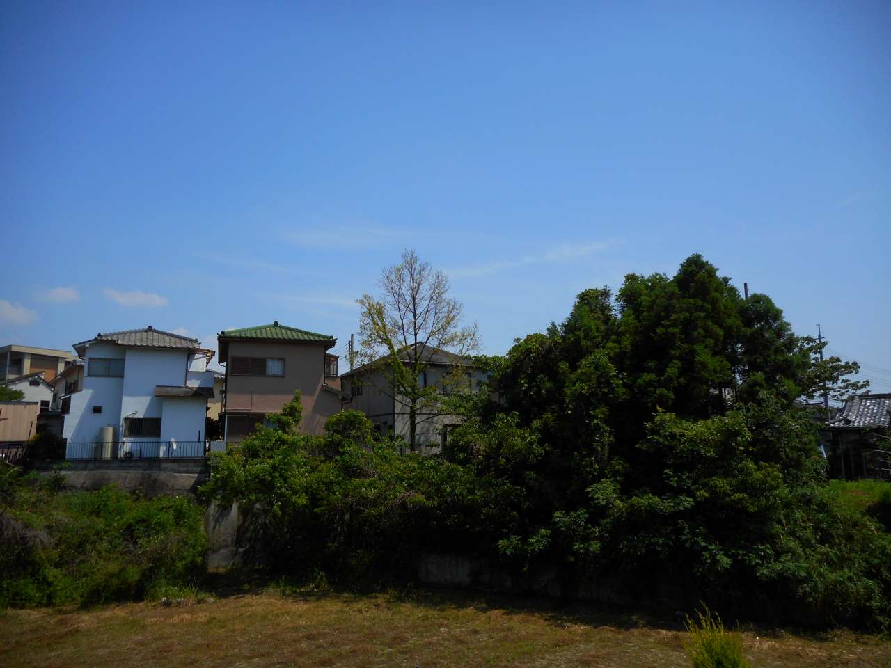 12/24 その他画像