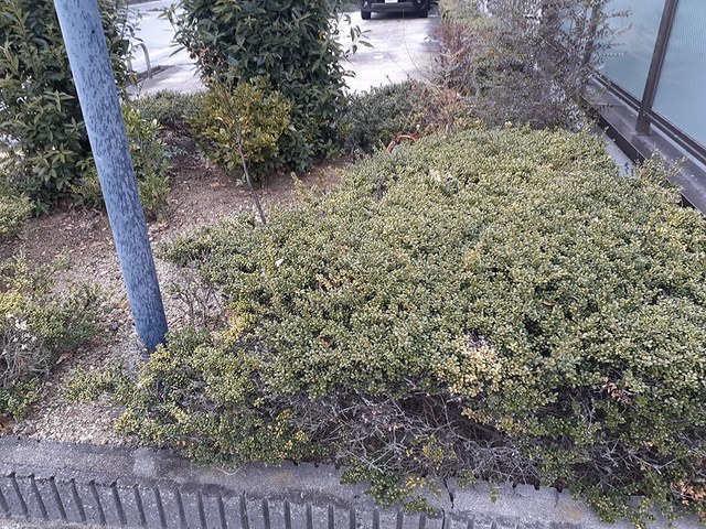 7/20 その他画像