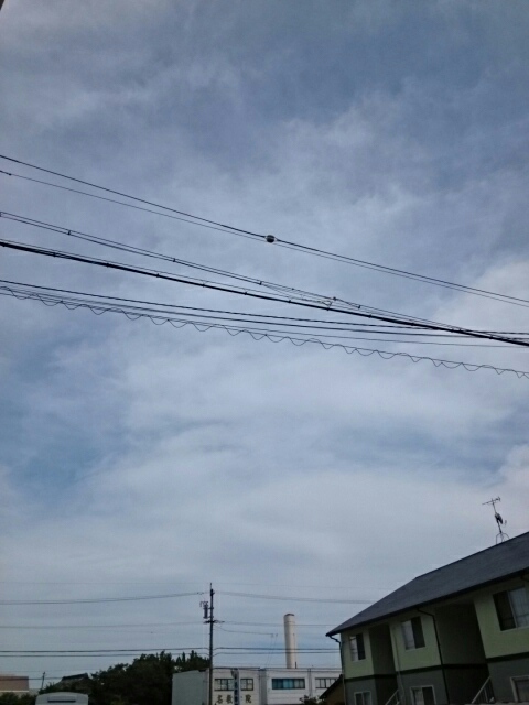 7/22 その他画像