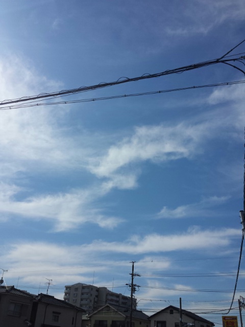 10/22 その他画像