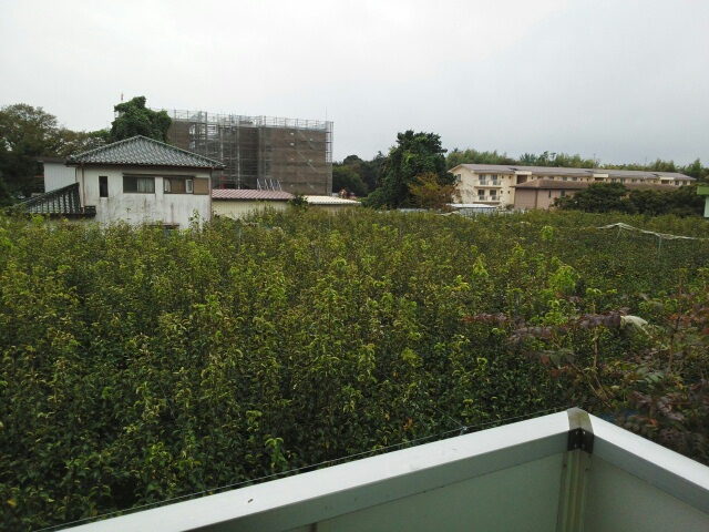 12/20 その他画像