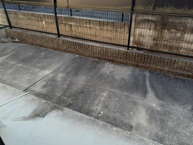 12/20 その他画像