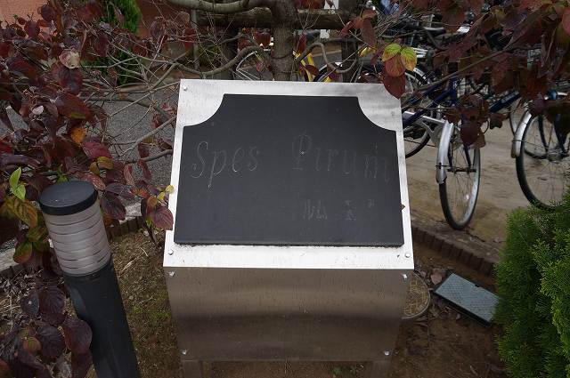 9/20 その他画像