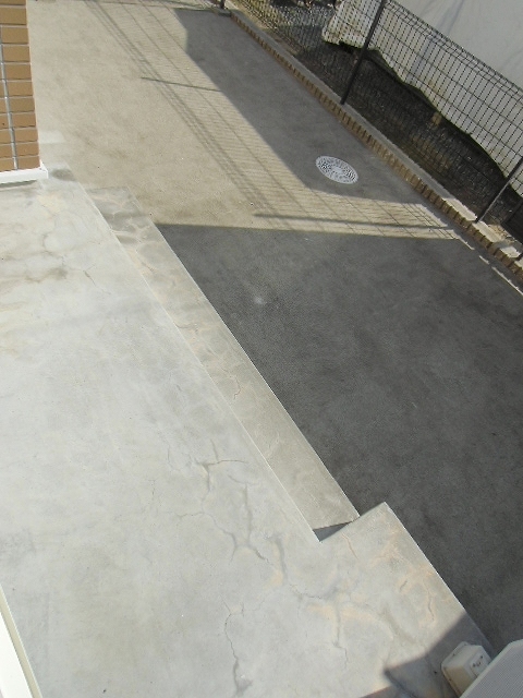 11/20 その他画像