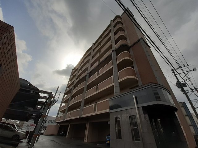 8/20 その他画像