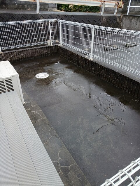 11/20 その他画像