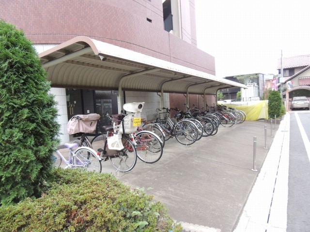 11/20 その他画像