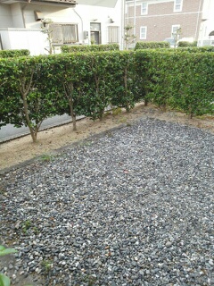 13/24 その他画像