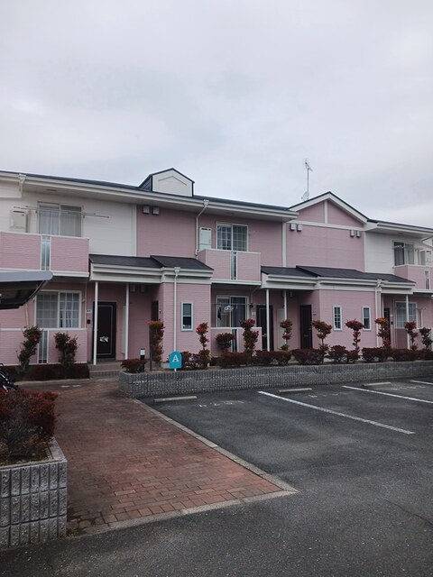 3/20 その他画像