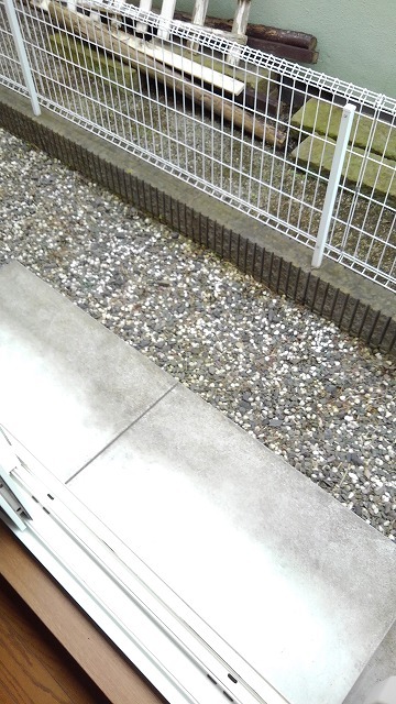 11/20 その他画像