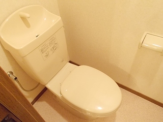 7/17 その他画像