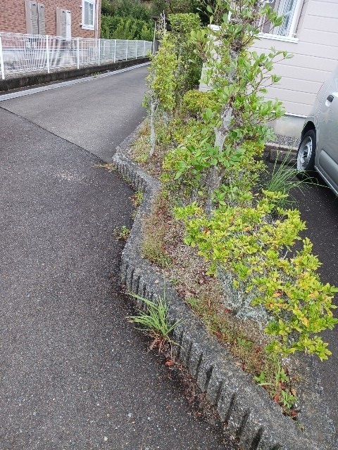 7/20 その他画像