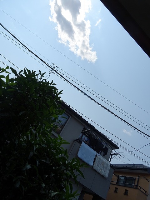 12/21 その他画像