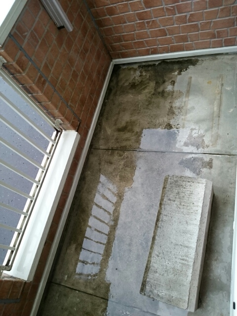 11/20 バルコニー