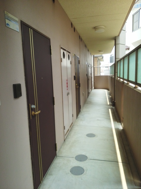 8/19 その他画像