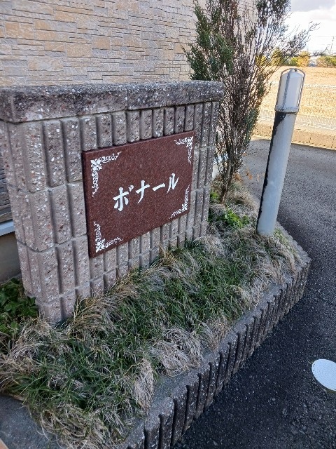 3/19 その他画像