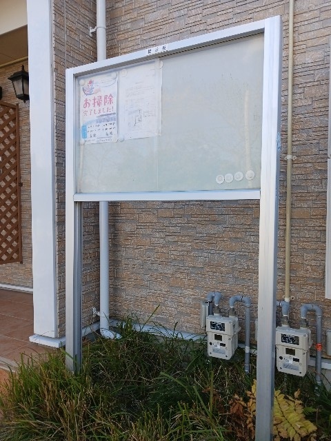 7/19 その他画像