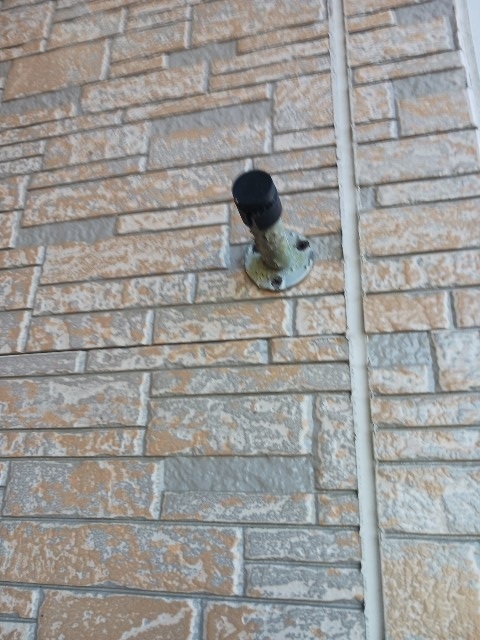 8/19 その他画像