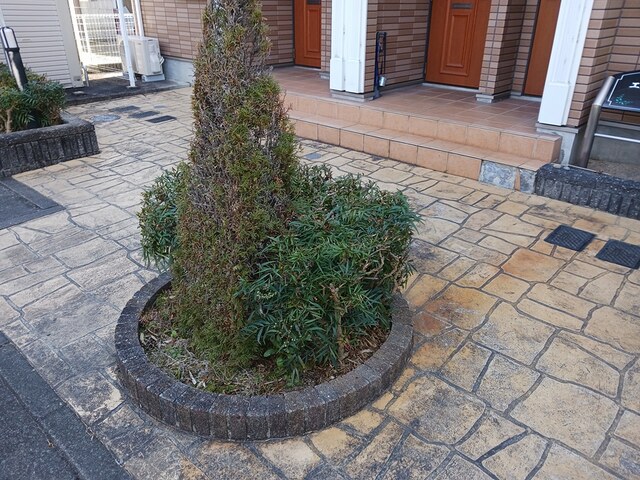 12/20 その他画像