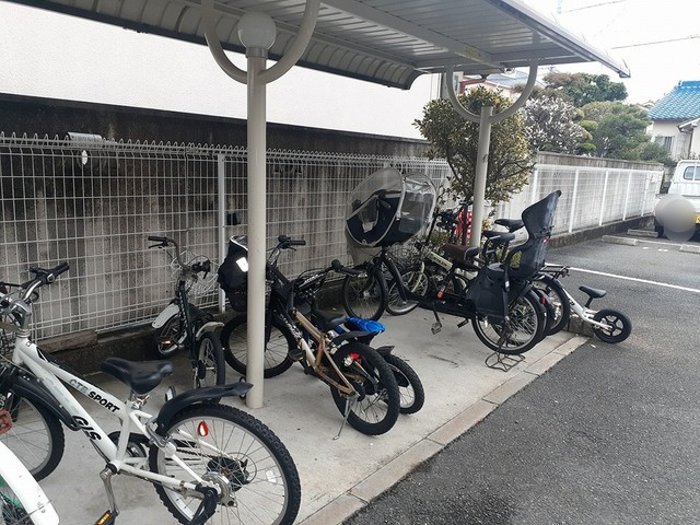 その他共有