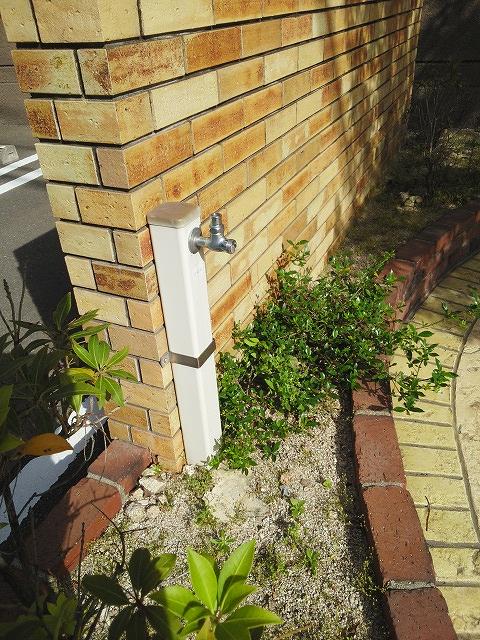 6/21 その他画像