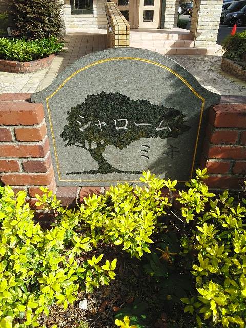 2/20 その他画像