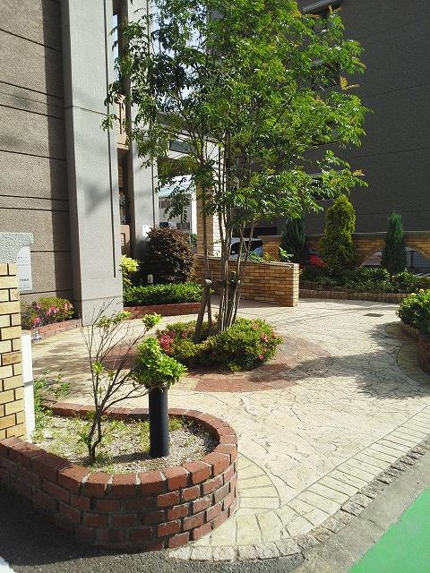 4/20 その他画像