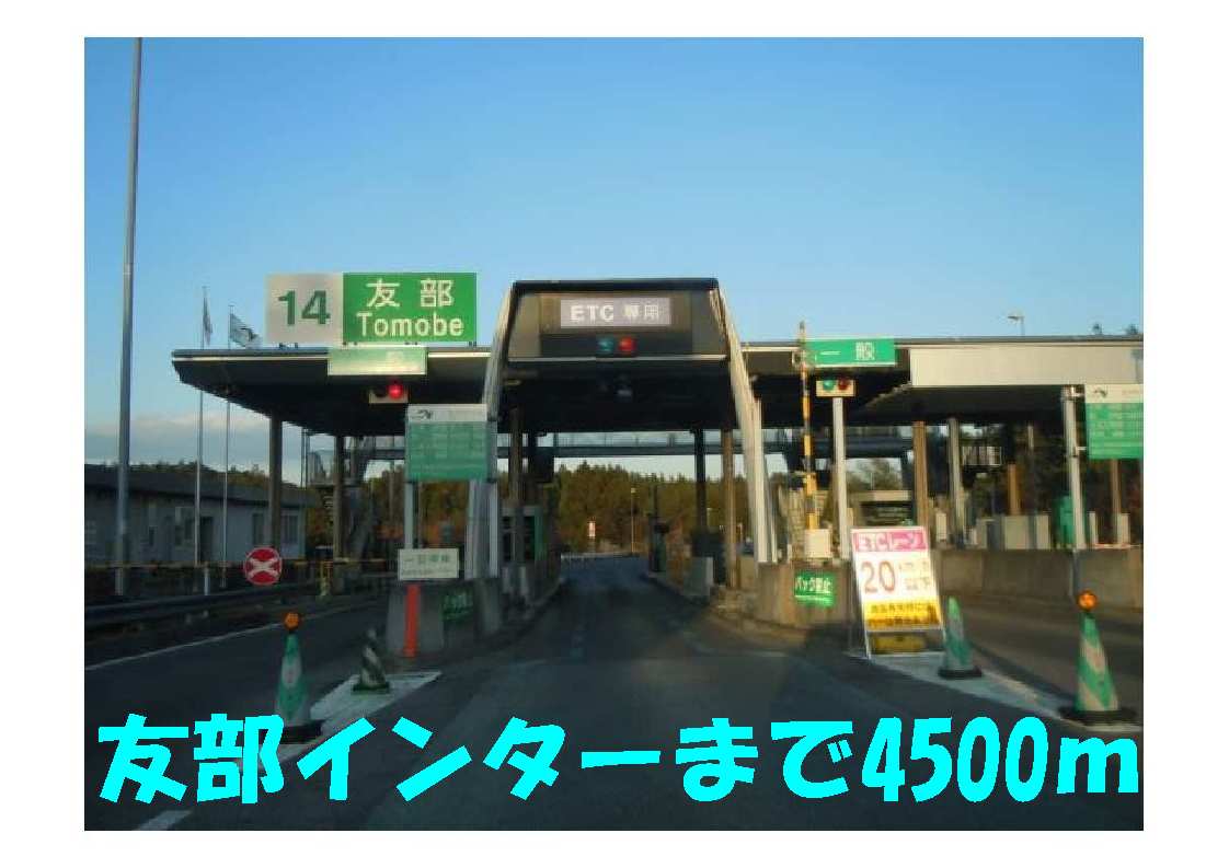 3/13 その他画像