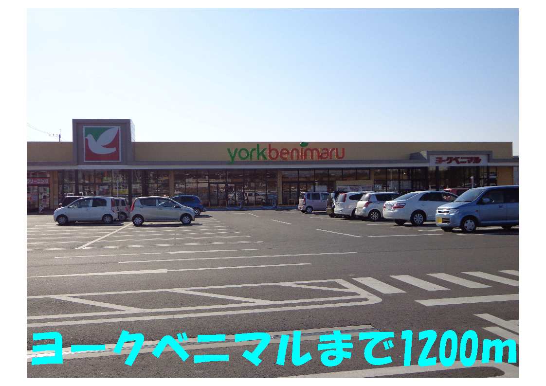 4/13 その他画像