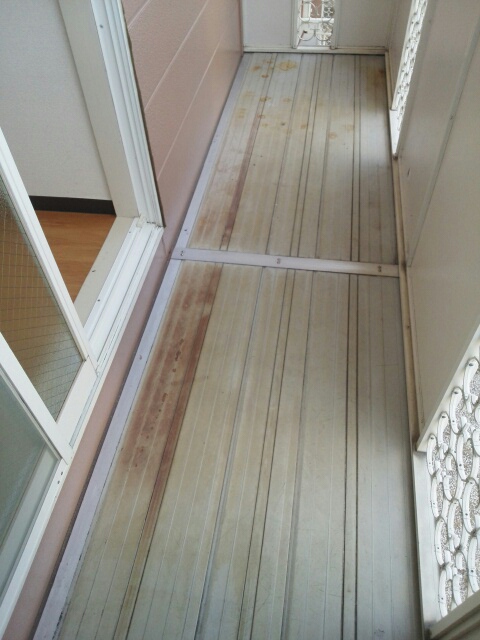 14/23 その他画像