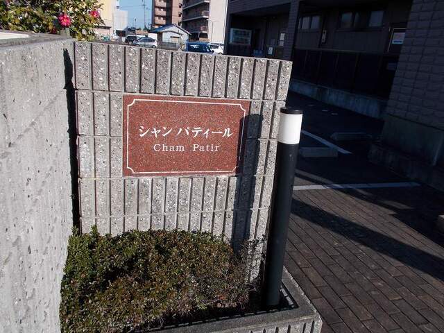 6/15 その他画像