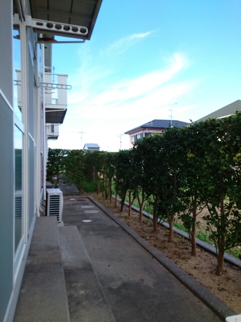 11/24 その他画像