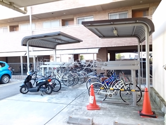 13/20 その他画像