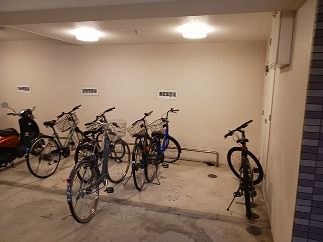 5/20 その他画像