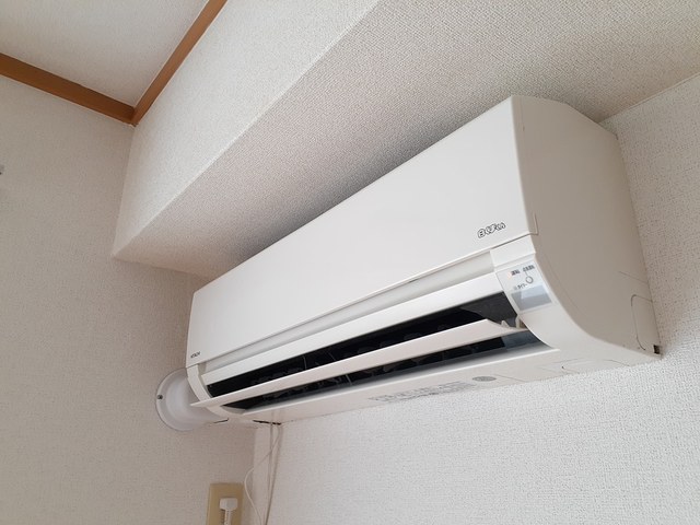 11/20 その他画像