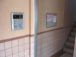 5/15 その他画像