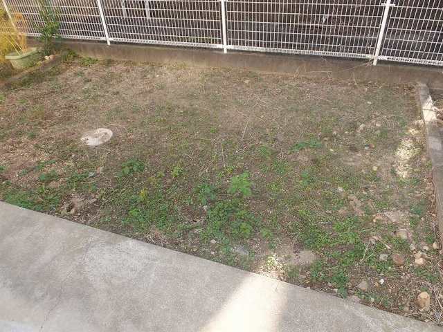 11/20 その他画像