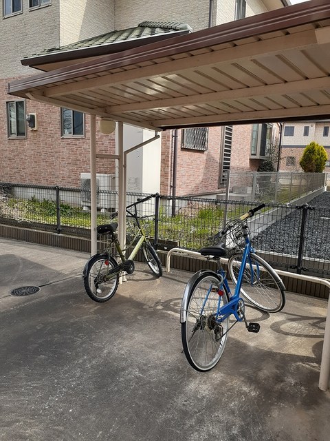 13/20 その他画像