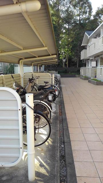 13/19 その他画像