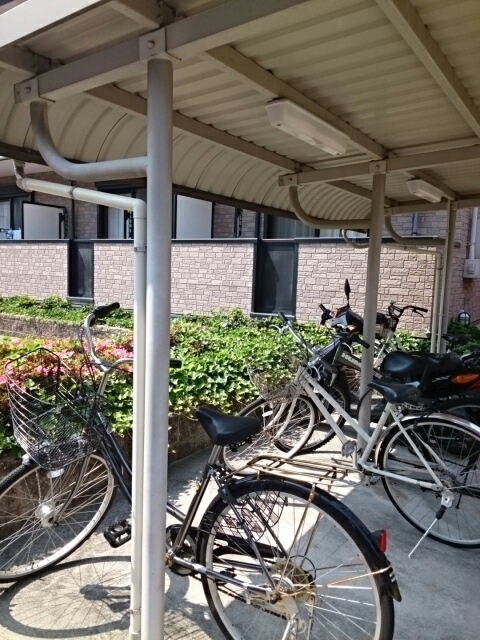 11/22 その他画像